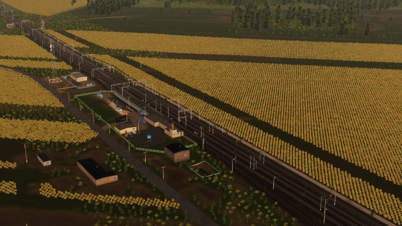 File:psary 9.jpg