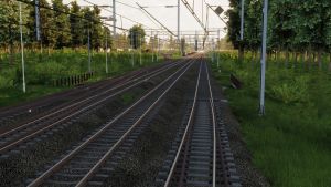 Olszamowice 4.jpg